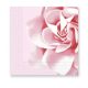 Floare Pink Șervețel trandafir 20 buc 33x33 cm