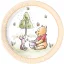 Disney Winnie de Pluș Loves Nature farfurie de hârtie 8 bucăți 23 cm FSC
