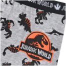 Jurassic World boxeri pentru copii 2 bucăți/pachet