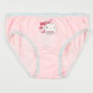 Gabby's Dollhouse Hello lenjerie de copii, chiloți 3 bucăți/pachet 3 - 8 ani / 98 - 128 cm