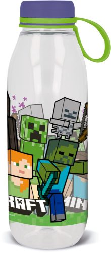 Minecraft sticlă apă, sticlă sport 650 ml