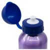 Disney Regatul de gheață Trust The Jurney sticlă de aluminiu 400 ml