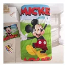 Disney Mickey  Garden set de lenjerie 140×200cm, 65x65 cm